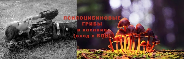 скорость Сафоново